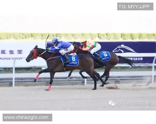 北京足球队耐力表现创新高引发热议助力球队新征程