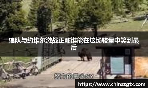 狼队与约维尔激战正酣谁能在这场较量中笑到最后