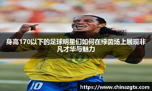 身高170以下的足球明星们如何在绿茵场上展现非凡才华与魅力